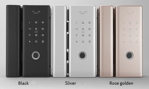Một số mẫu Khóa vân tay cho cửa kính thủy lực Một số mẫu Khóa vân tay cho cửa kính thủy lực